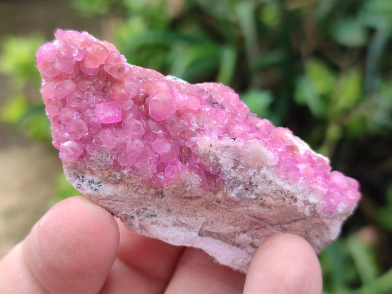 Natural Small Spherocobaltite Specimens x 35 From Mashamba West Mine, Congo - Toprock Gemstones and Minerals 