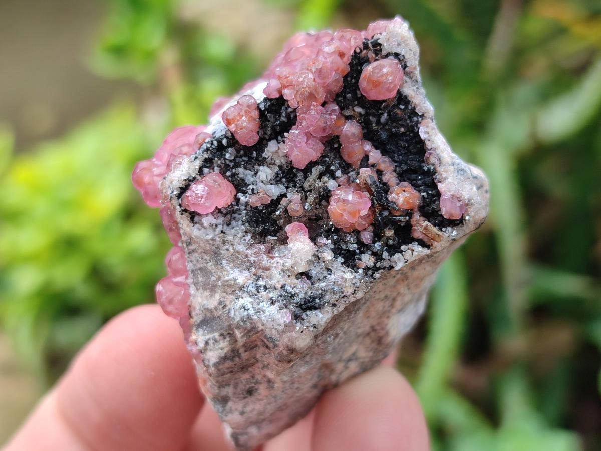 Natural Small Spherocobaltite Specimens x 35 From Mashamba West Mine, Congo - Toprock Gemstones and Minerals 