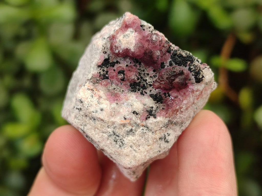 Natural Small Spherocobaltite Specimens x 35 From Mashamba West Mine, Congo - Toprock Gemstones and Minerals 