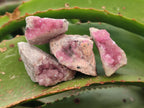Natural Small Spherocobaltite Specimens x 35 From Mashamba West Mine, Congo - Toprock Gemstones and Minerals 