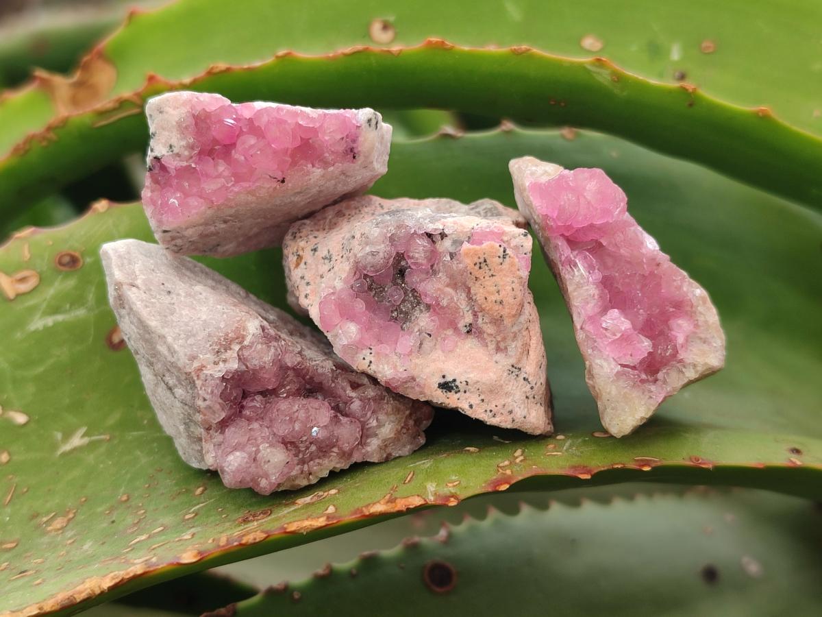 Natural Small Spherocobaltite Specimens x 35 From Mashamba West Mine, Congo - Toprock Gemstones and Minerals 
