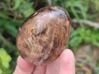Polished Mix of Dadoxylon Petrified Wood Eggs and Free Forms x 17 From Gokwe, Zimbabwe - Toprock Gemstones and Minerals 