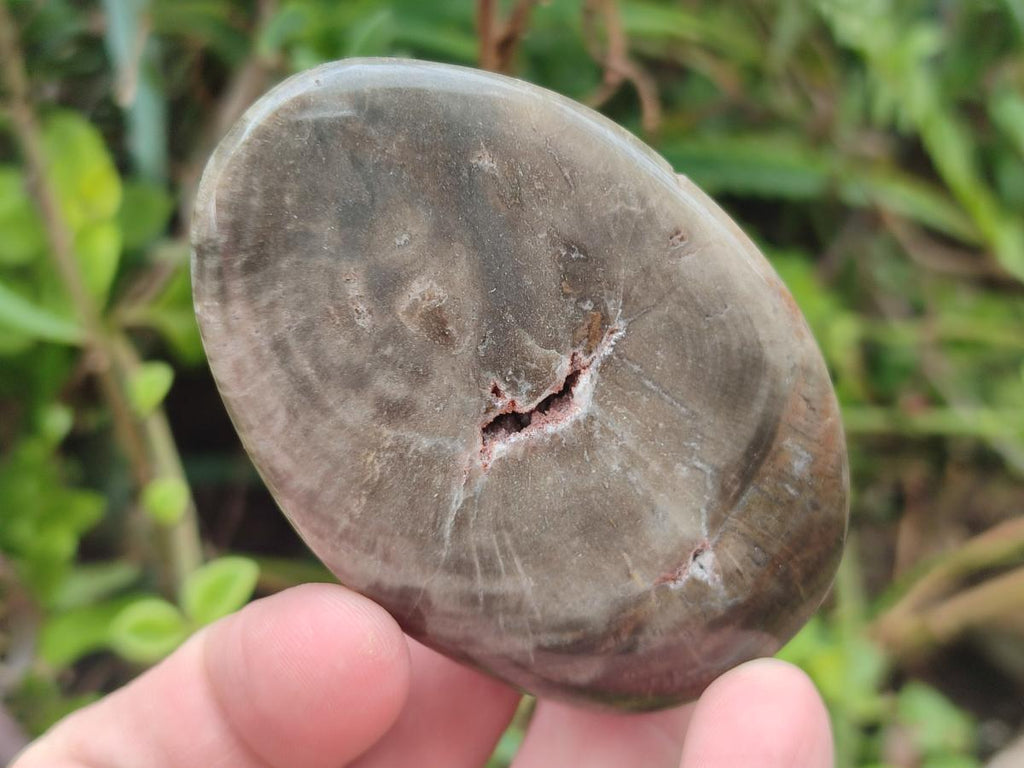 Polished Mix of Dadoxylon Petrified Wood Eggs and Free Forms x 17 From Gokwe, Zimbabwe - Toprock Gemstones and Minerals 