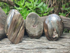 Polished Mix of Dadoxylon Petrified Wood Eggs and Free Forms x 17 From Gokwe, Zimbabwe - Toprock Gemstones and Minerals 