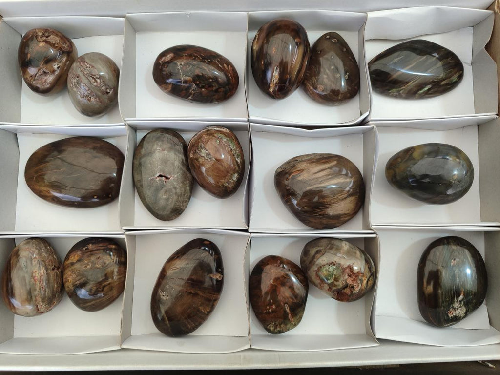 Polished Mix of Dadoxylon Petrified Wood Eggs and Free Forms x 17 From Gokwe, Zimbabwe - Toprock Gemstones and Minerals 