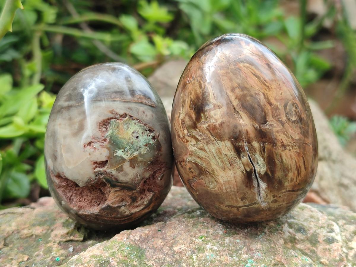 Polished Mix of Dadoxylon Petrified Wood Eggs and Free Forms x 17 From Gokwe, Zimbabwe - Toprock Gemstones and Minerals 