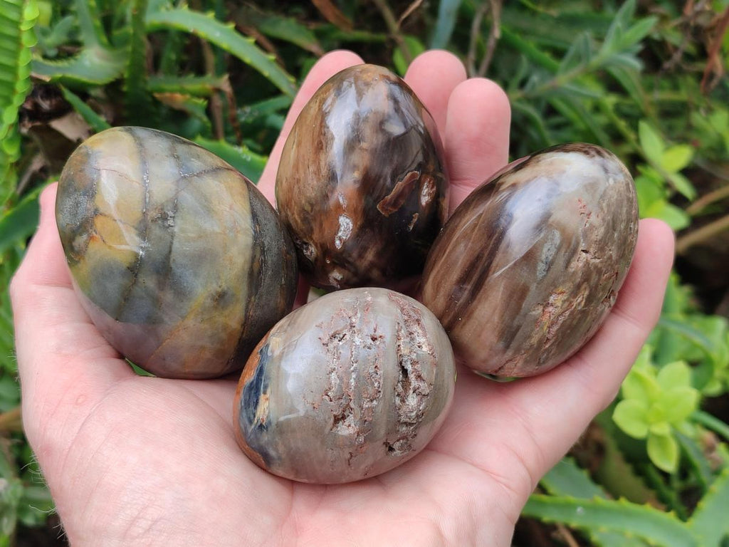 Polished Mix of Dadoxylon Petrified Wood Eggs and Free Forms x 17 From Gokwe, Zimbabwe - Toprock Gemstones and Minerals 