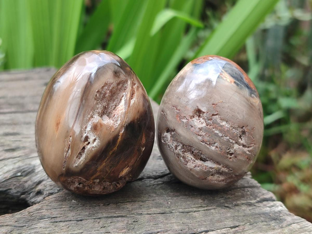 Polished Mix of Dadoxylon Petrified Wood Eggs and Free Forms x 17 From Gokwe, Zimbabwe - Toprock Gemstones and Minerals 
