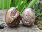 Polished Mix of Dadoxylon Petrified Wood Eggs and Free Forms x 17 From Gokwe, Zimbabwe - Toprock Gemstones and Minerals 