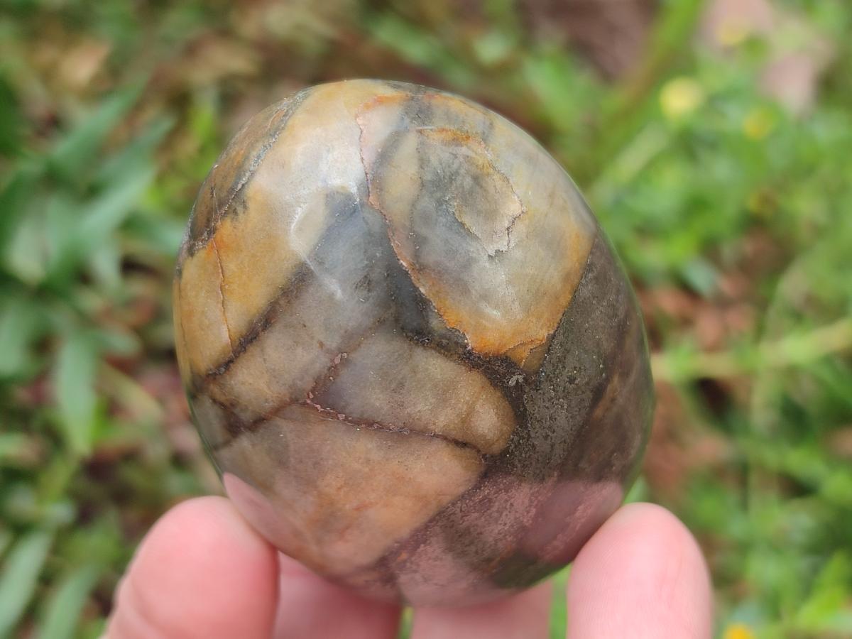 Polished Mix of Dadoxylon Petrified Wood Eggs and Free Forms x 17 From Gokwe, Zimbabwe - Toprock Gemstones and Minerals 