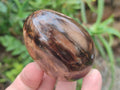 Polished Mix of Dadoxylon Petrified Wood Eggs and Free Forms x 17 From Gokwe, Zimbabwe - Toprock Gemstones and Minerals 