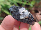 Natural Striated Schorl Black Tourmaline Crystals x 36 From Zimbabwe - Toprock Gemstones and Minerals 
