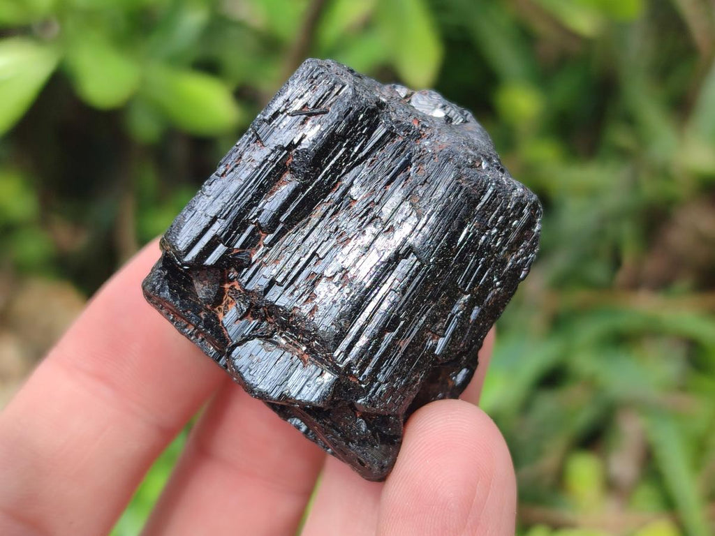 Natural Striated Schorl Black Tourmaline Crystals x 36 From Zimbabwe - Toprock Gemstones and Minerals 