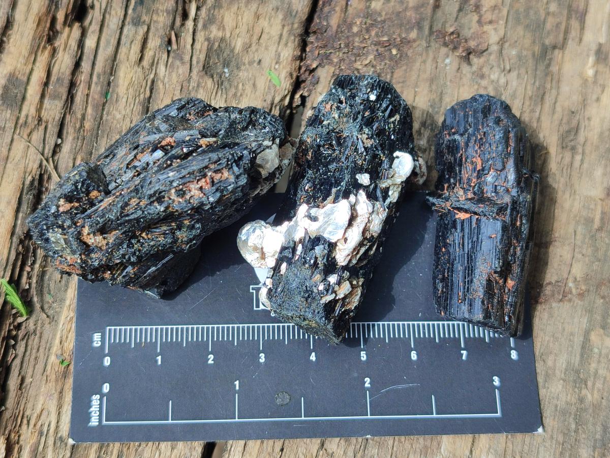 Natural Striated Schorl Black Tourmaline Crystals x 36 From Zimbabwe - Toprock Gemstones and Minerals 