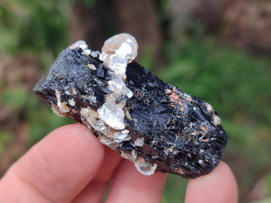Natural Striated Schorl Black Tourmaline Crystals x 36 From Zimbabwe - Toprock Gemstones and Minerals 