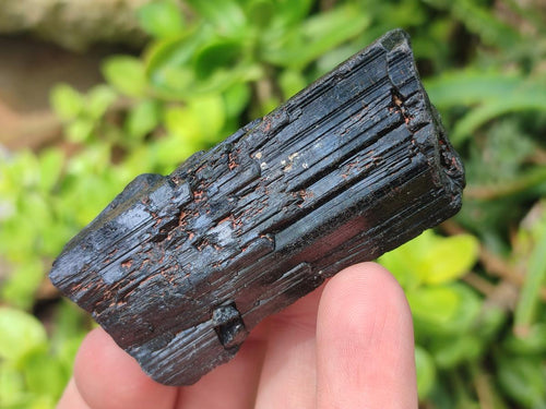 Natural Striated Schorl Black Tourmaline Crystals x 36 From Zimbabwe - Toprock Gemstones and Minerals 