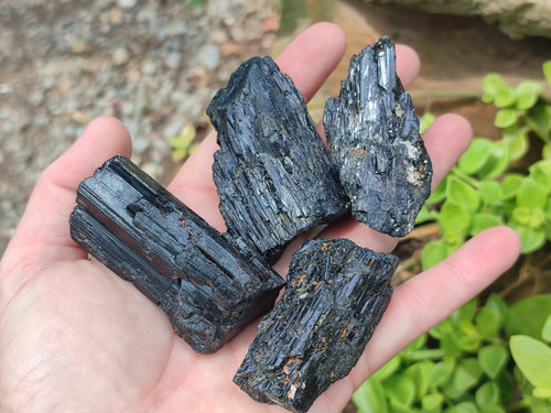 Natural Striated Schorl Black Tourmaline Crystals x 36 From Zimbabwe - Toprock Gemstones and Minerals 