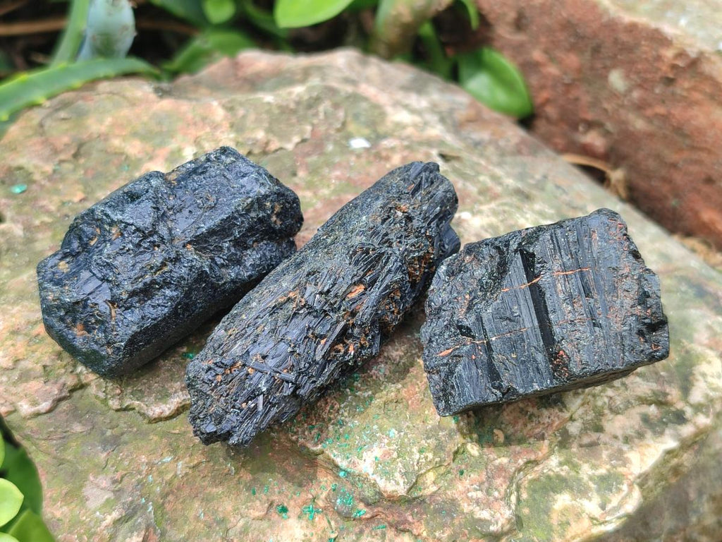 Natural Striated Schorl Black Tourmaline Crystals x 36 From Zimbabwe - Toprock Gemstones and Minerals 