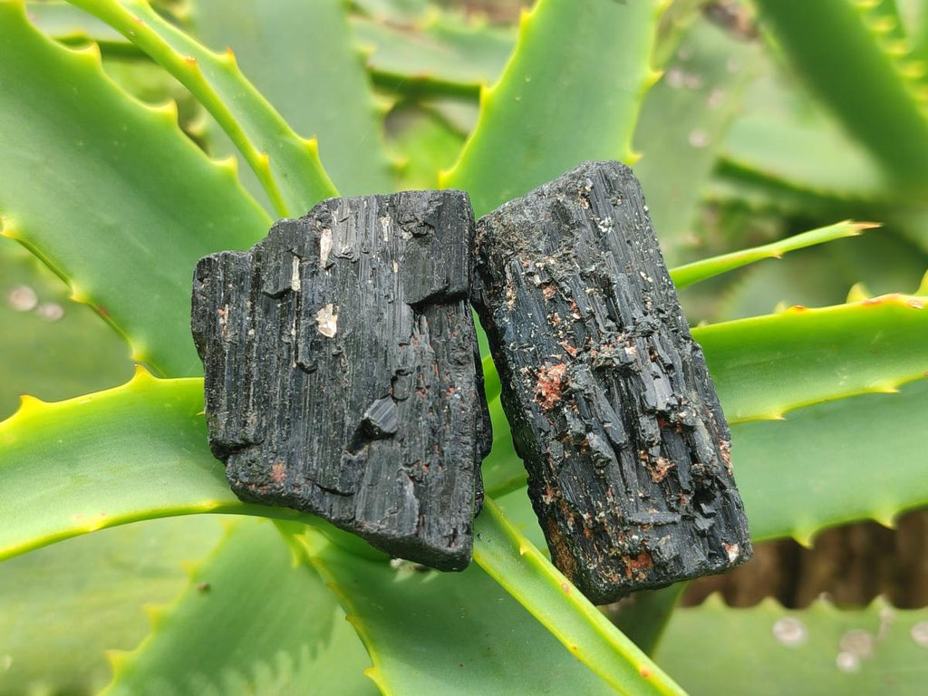 Natural Striated Schorl Black Tourmaline Crystals x 36 From Zimbabwe - Toprock Gemstones and Minerals 