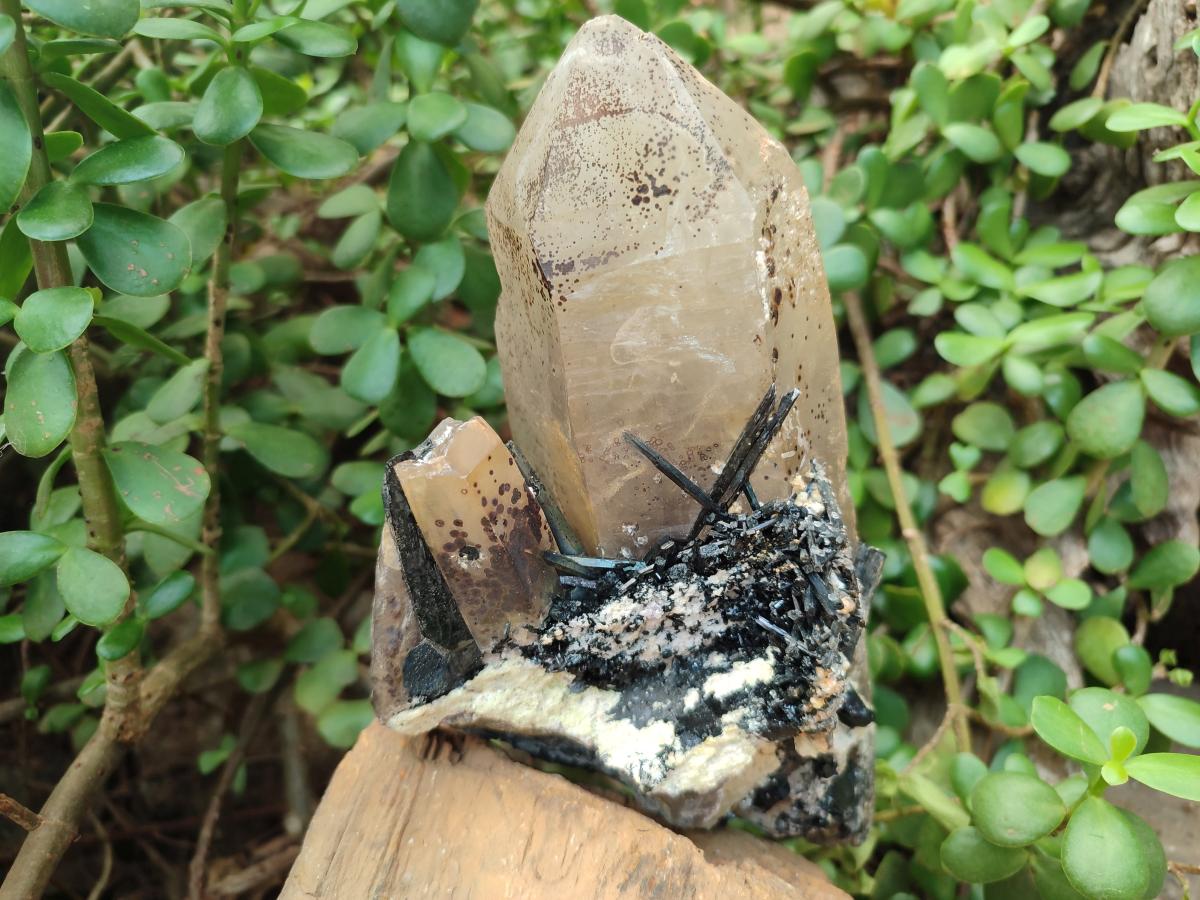 Natural Large Smokey Quartz Crystal with Schorl Black Tourmaline and Hyalite Opal x 1 From Erongo, Namibia - Toprock Gemstones and Minerals 