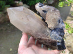 Natural Large Smokey Quartz Crystal with Schorl Black Tourmaline and Hyalite Opal x 1 From Erongo, Namibia - Toprock Gemstones and Minerals 