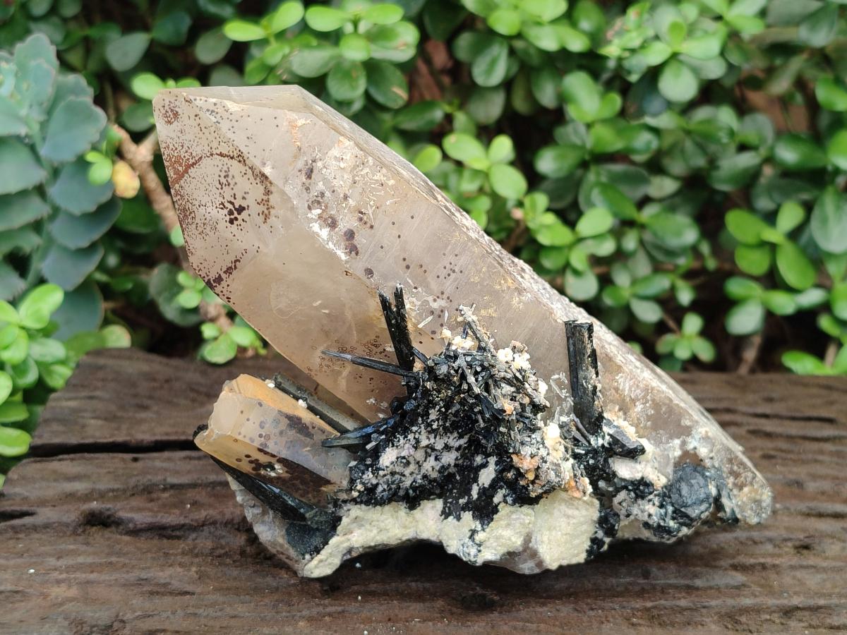 Natural Large Smokey Quartz Crystal with Schorl Black Tourmaline and Hyalite Opal x 1 From Erongo, Namibia - Toprock Gemstones and Minerals 