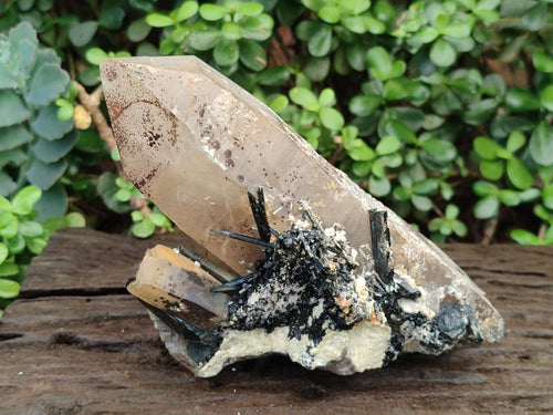 Natural Large Smokey Quartz Crystal with Schorl Black Tourmaline and Hyalite Opal x 1 From Erongo, Namibia - Toprock Gemstones and Minerals 