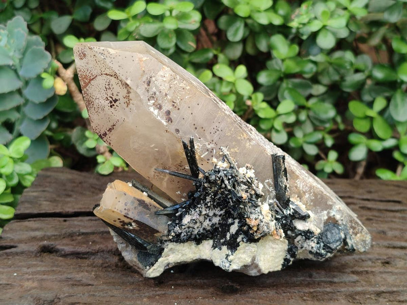 Natural Large Smokey Quartz Crystal with Schorl Black Tourmaline and Hyalite Opal x 1 From Erongo, Namibia - Toprock Gemstones and Minerals 