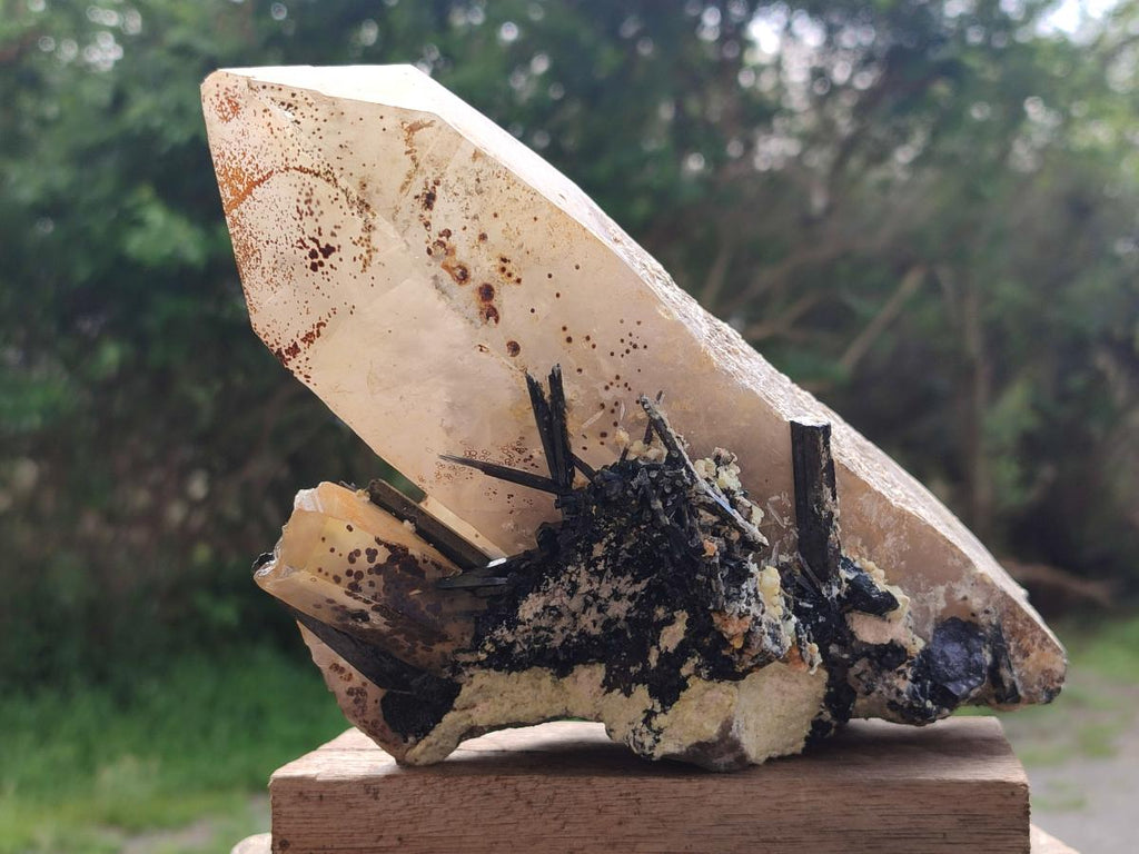 Natural Large Smokey Quartz Crystal with Schorl Black Tourmaline and Hyalite Opal x 1 From Erongo, Namibia - Toprock Gemstones and Minerals 