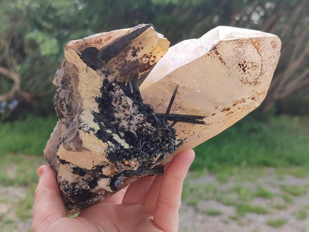Natural Large Smokey Quartz Crystal with Schorl Black Tourmaline and Hyalite Opal x 1 From Erongo, Namibia - Toprock Gemstones and Minerals 