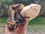 Natural Large Smokey Quartz Crystal with Schorl Black Tourmaline and Hyalite Opal x 1 From Erongo, Namibia - Toprock Gemstones and Minerals 