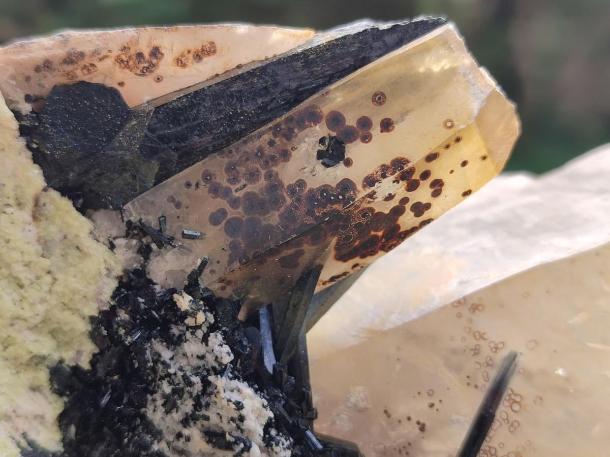 Natural Large Smokey Quartz Crystal with Schorl Black Tourmaline and Hyalite Opal x 1 From Erongo, Namibia - Toprock Gemstones and Minerals 