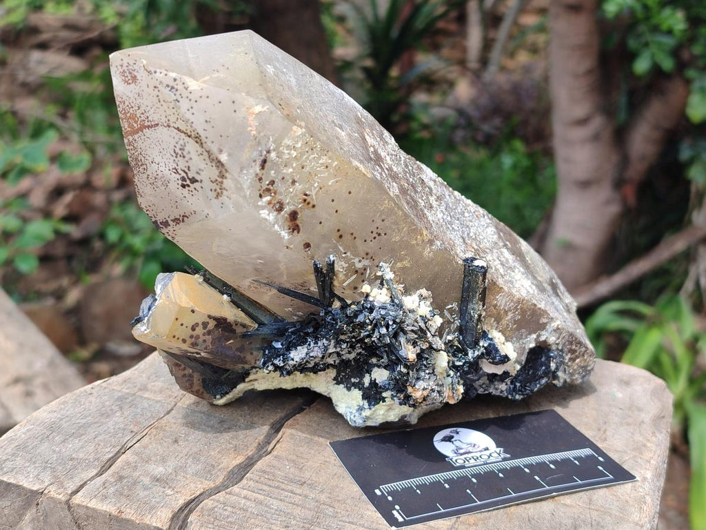 Natural Large Smokey Quartz Crystal with Schorl Black Tourmaline and Hyalite Opal x 1 From Erongo, Namibia - Toprock Gemstones and Minerals 