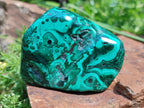 Polished and Natural Flower Banded Malachite Free Forms x 14 From Congo - Toprock Gemstones and Minerals 
