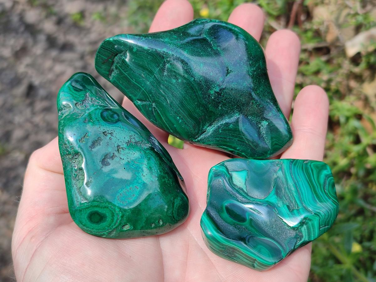 Polished and Natural Flower Banded Malachite Free Forms x 14 From Congo - Toprock Gemstones and Minerals 
