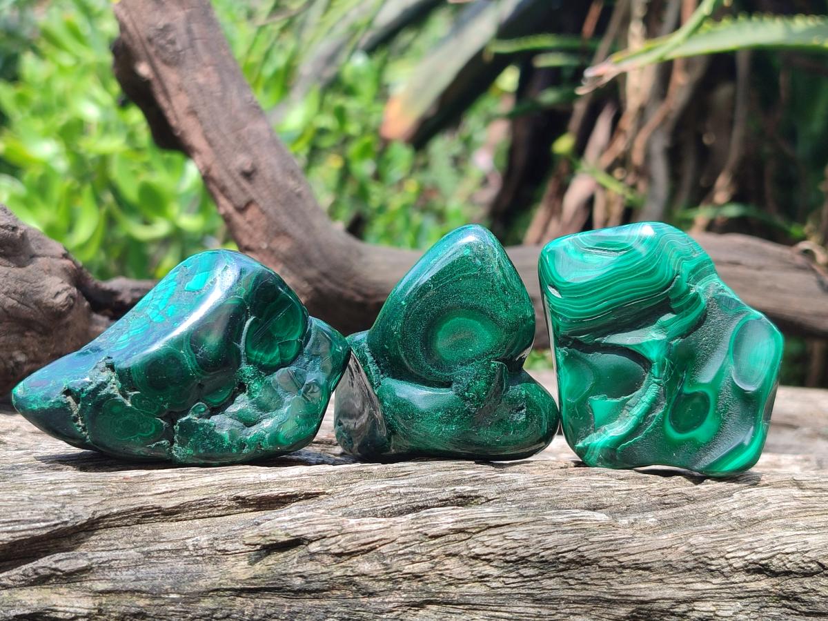Polished and Natural Flower Banded Malachite Free Forms x 14 From Congo - Toprock Gemstones and Minerals 