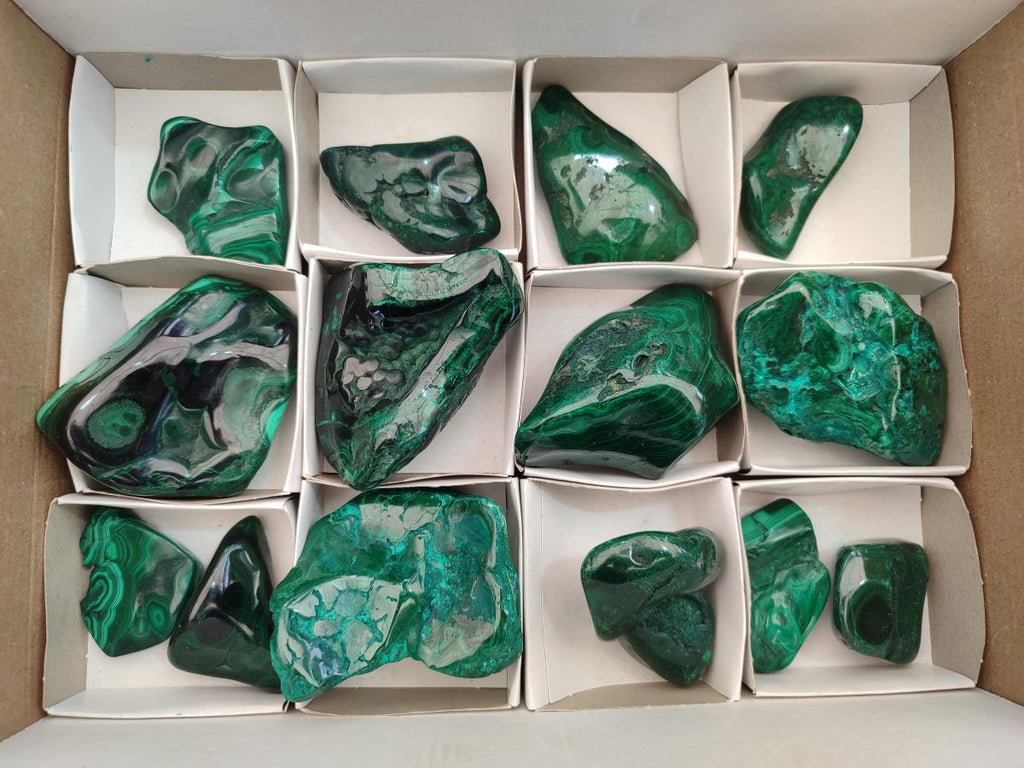 Polished and Natural Flower Banded Malachite Free Forms x 14 From Congo - Toprock Gemstones and Minerals 