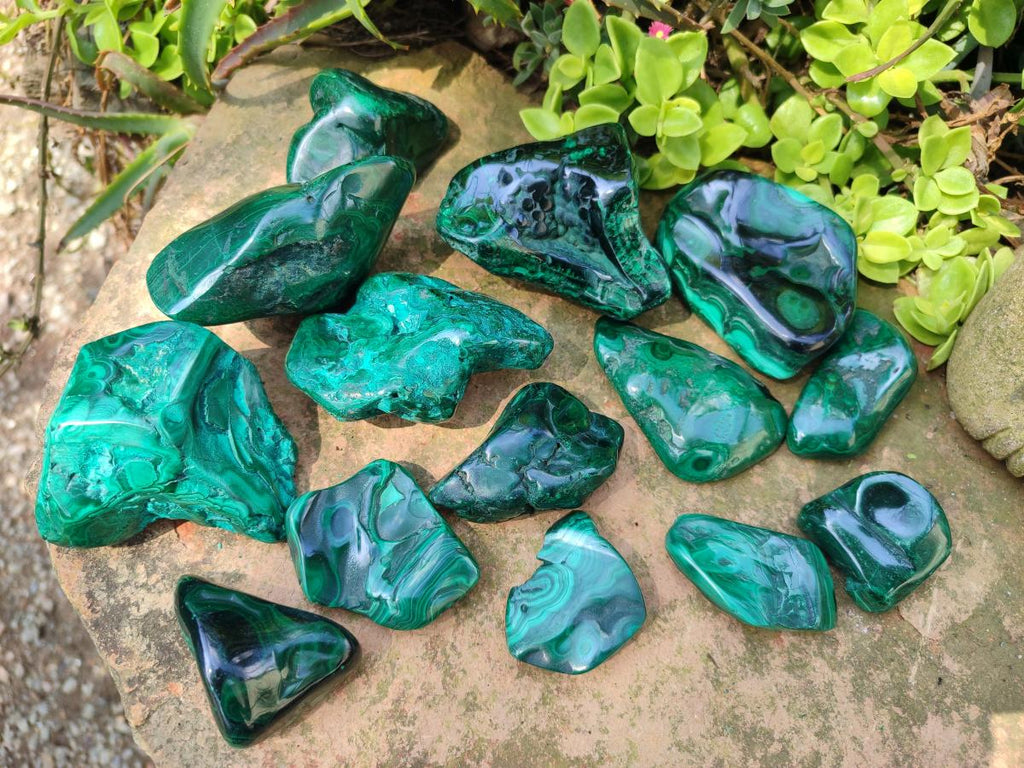 Polished and Natural Flower Banded Malachite Free Forms x 14 From Congo - Toprock Gemstones and Minerals 