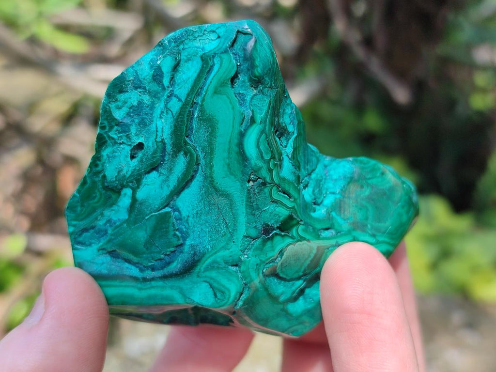 Polished and Natural Flower Banded Malachite Free Forms x 14 From Congo - Toprock Gemstones and Minerals 
