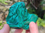 Polished and Natural Flower Banded Malachite Free Forms x 14 From Congo - Toprock Gemstones and Minerals 
