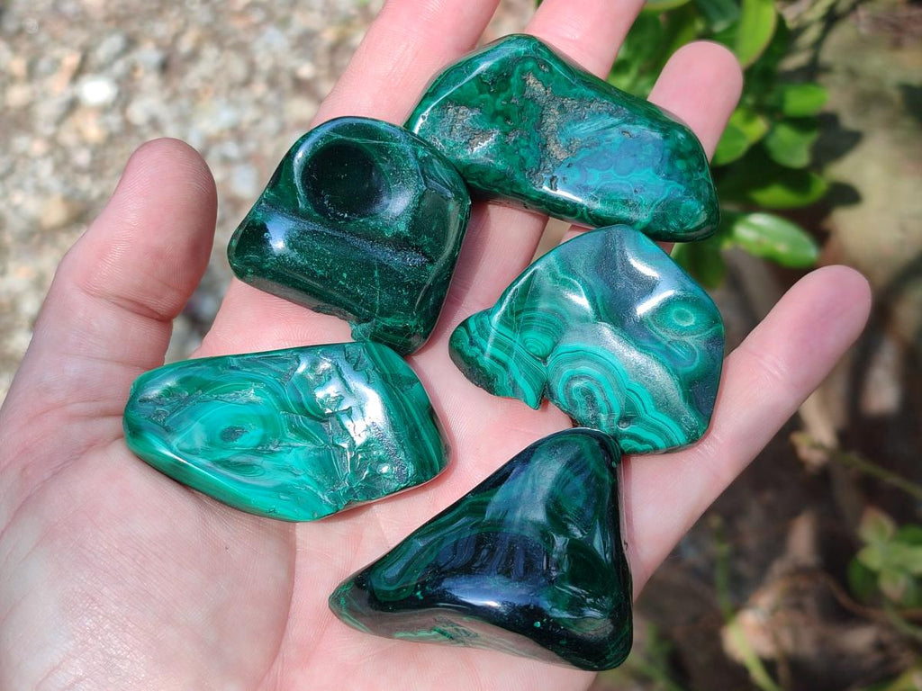 Polished and Natural Flower Banded Malachite Free Forms x 14 From Congo - Toprock Gemstones and Minerals 