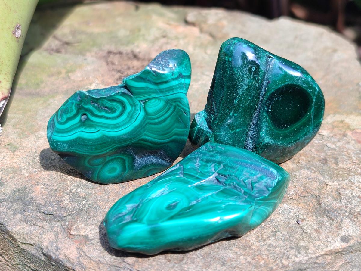Polished and Natural Flower Banded Malachite Free Forms x 14 From Congo - Toprock Gemstones and Minerals 