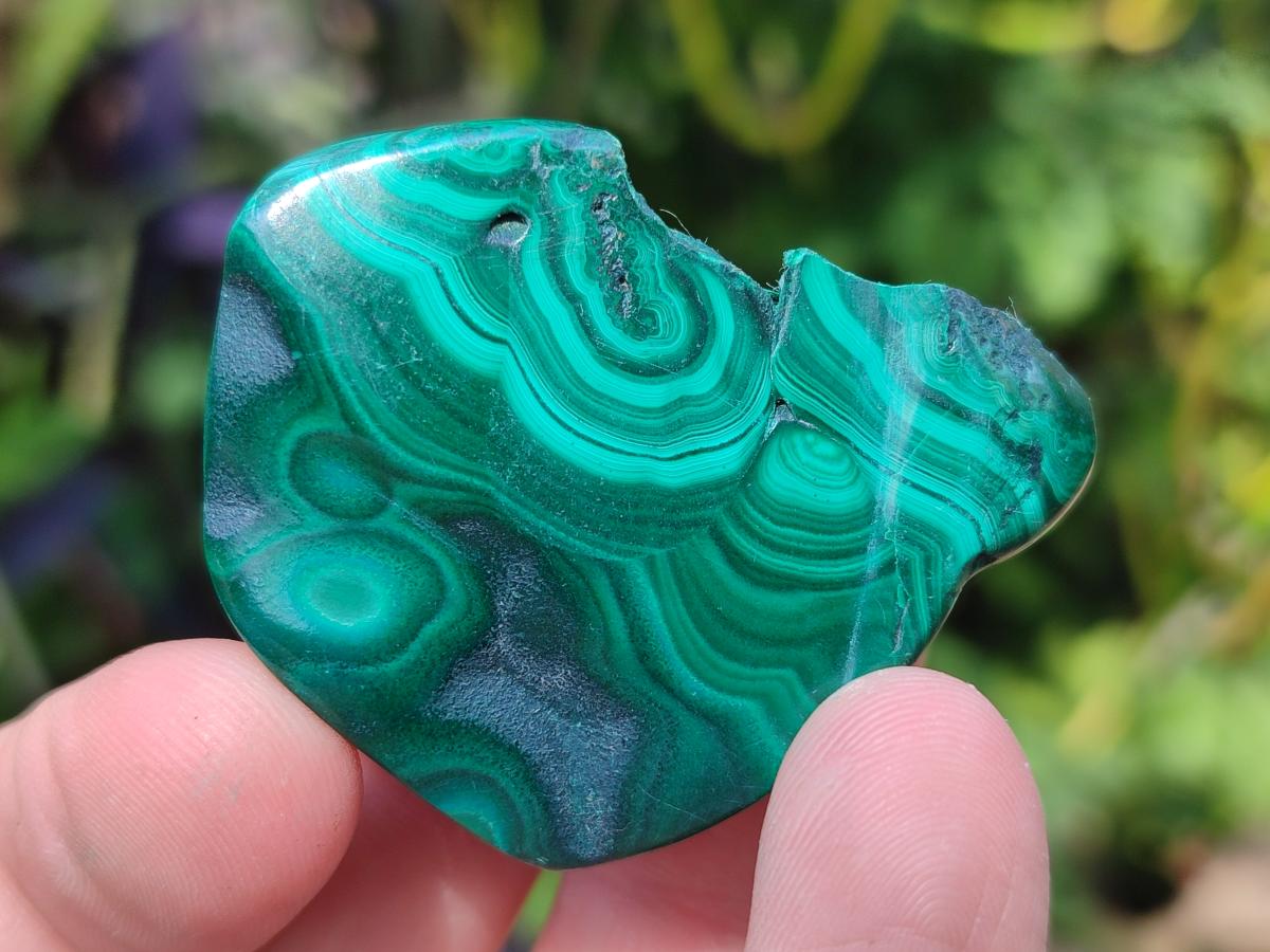 Polished and Natural Flower Banded Malachite Free Forms x 14 From Congo - Toprock Gemstones and Minerals 