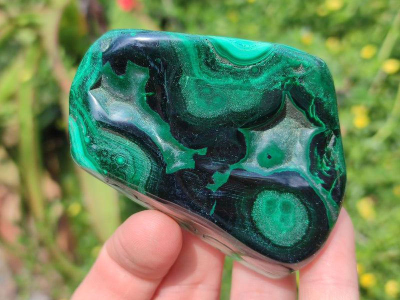 Polished and Natural Flower Banded Malachite Free Forms x 14 From Congo - Toprock Gemstones and Minerals 