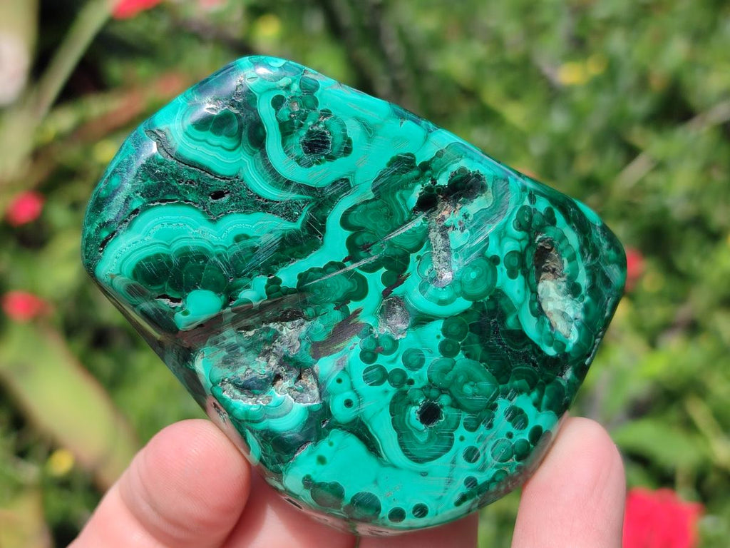 Polished and Natural Flower Banded Malachite Free Forms x 14 From Congo - Toprock Gemstones and Minerals 