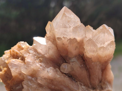 Natural Cascading White Phantom Smokey Luena Quartz Clusters x 6 From Luena, Congo - Toprock Gemstones and Minerals 
