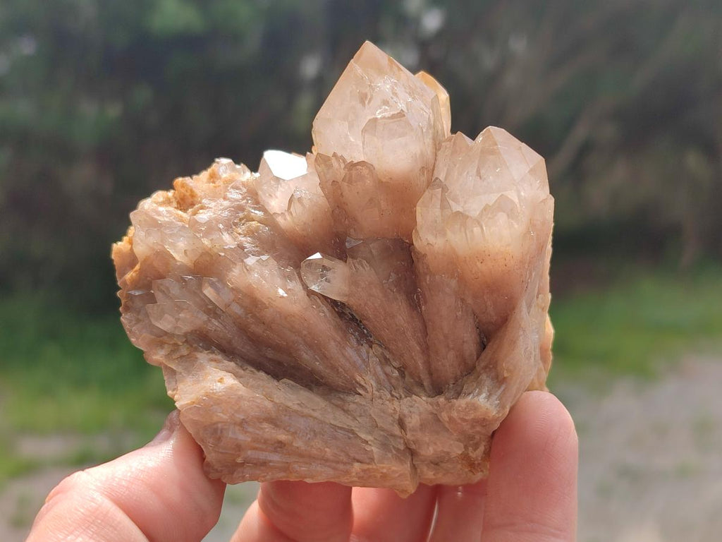 Natural Cascading White Phantom Smokey Luena Quartz Clusters x 6 From Luena, Congo - Toprock Gemstones and Minerals 