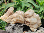 Natural Cascading White Phantom Smokey Luena Quartz Clusters x 6 From Luena, Congo - Toprock Gemstones and Minerals 