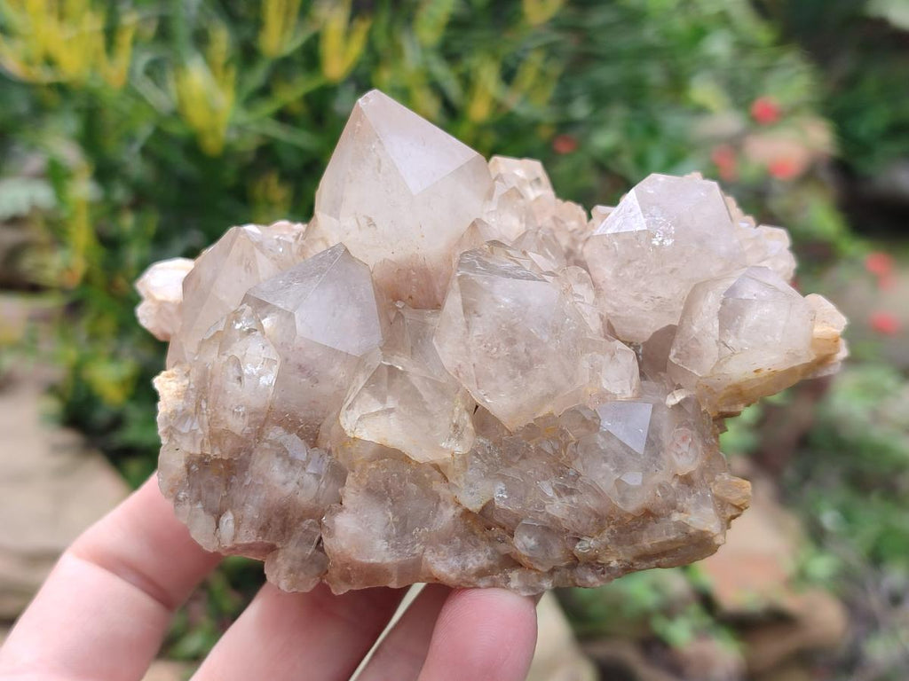 Natural Cascading White Phantom Smokey Luena Quartz Clusters x 6 From Luena, Congo - Toprock Gemstones and Minerals 