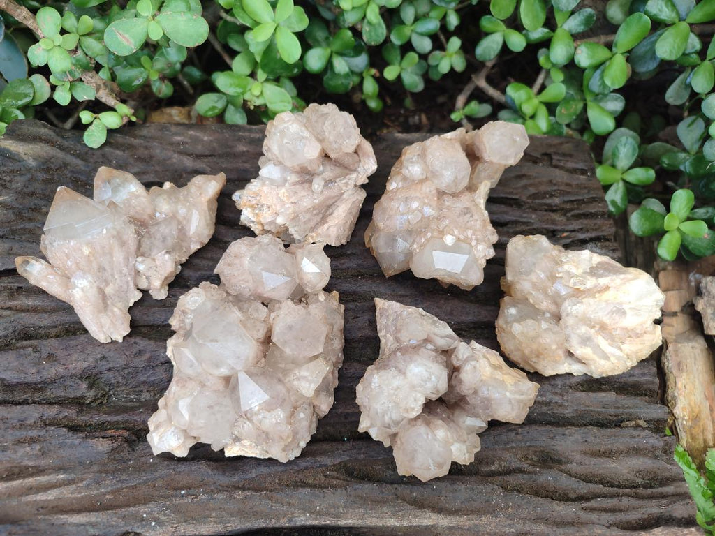 Natural Cascading White Phantom Smokey Luena Quartz Clusters x 6 From Luena, Congo - Toprock Gemstones and Minerals 
